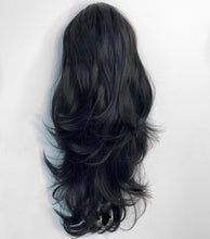 Load image into Gallery viewer, Natural black Pony

